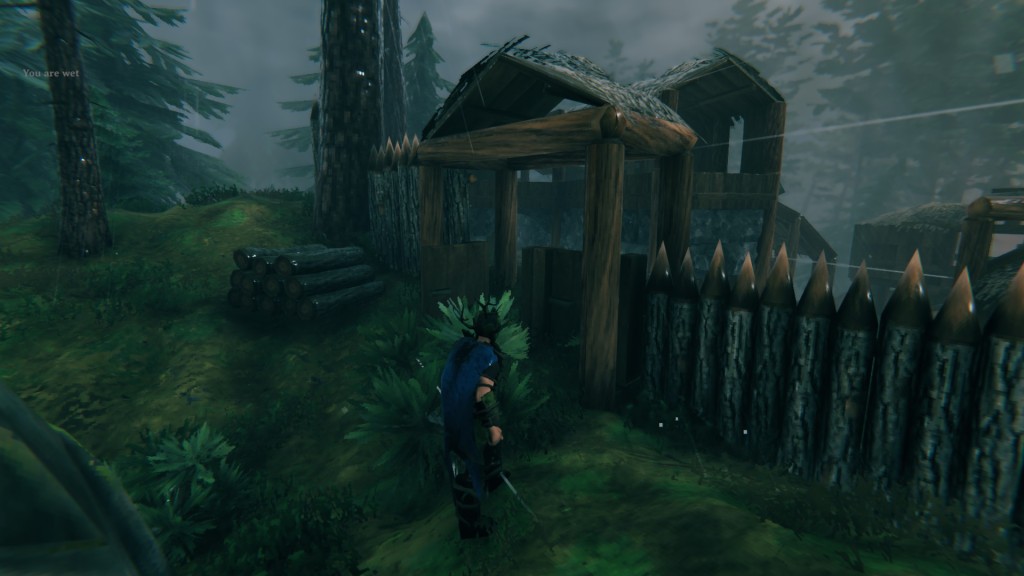 Valheim screenshot. Centered is a gate I built to my village. The gate is built into a picket fence. In front of the gate is a bush about half the size of my character. To the left you can see the trunks of a couple of pine trees. It's situated in the Black Forest biome, and it's raining faintly.